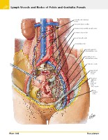 Frank H. Netter, MD - Atlas of Human Anatomy (6th ed ) 2014, page 427